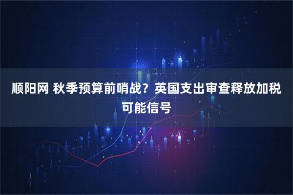顺阳网 秋季预算前哨战？英国支出审查释放加税可能信号