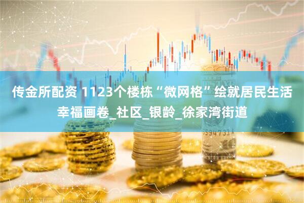 传金所配资 1123个楼栋“微网格”绘就居民生活幸福画卷_社区_银龄_徐家湾街道