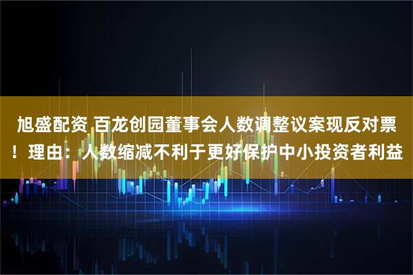 旭盛配资 百龙创园董事会人数调整议案现反对票！理由：人数缩减不利于更好保护中小投资者利益