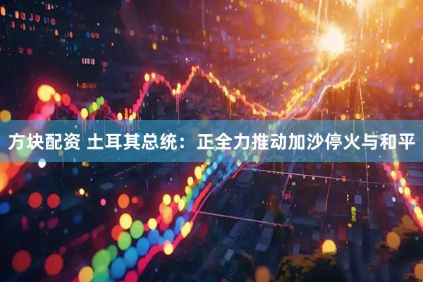 方块配资 土耳其总统：正全力推动加沙停火与和平